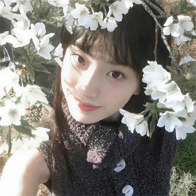 风流夜合花